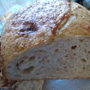 Mollica