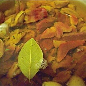 Gizzard