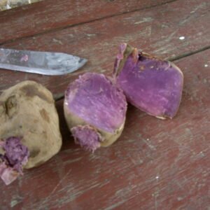 Purple Sweet Potatoes