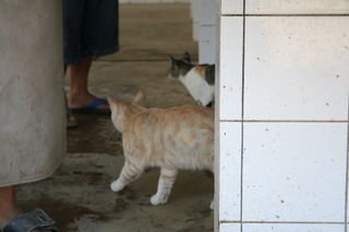IMG_0637