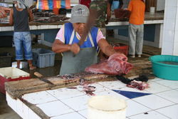 IMG_0879