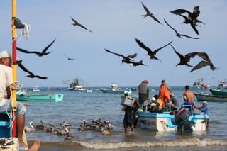 IMG_0725