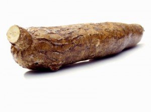 Cassava