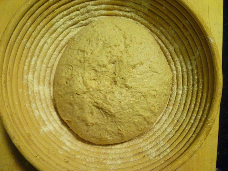 P1010005