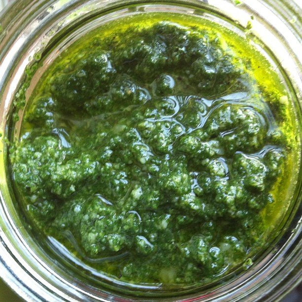 Nettle pesto