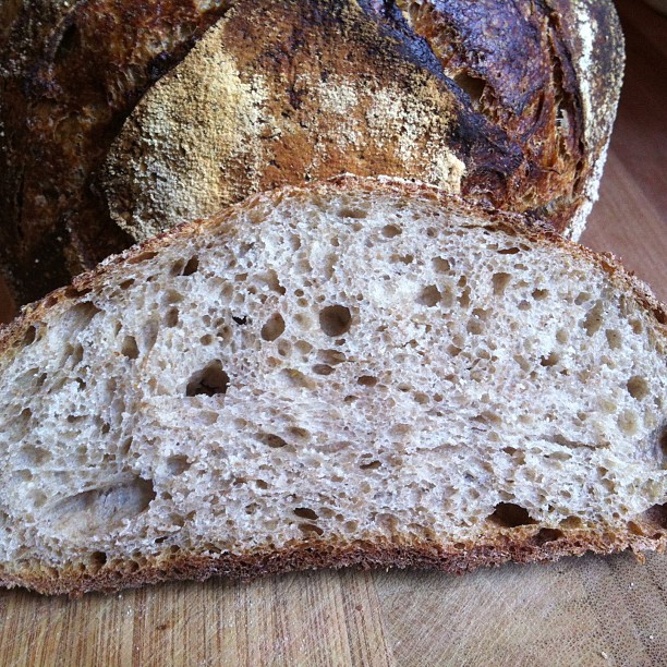 Wheat rye crumb