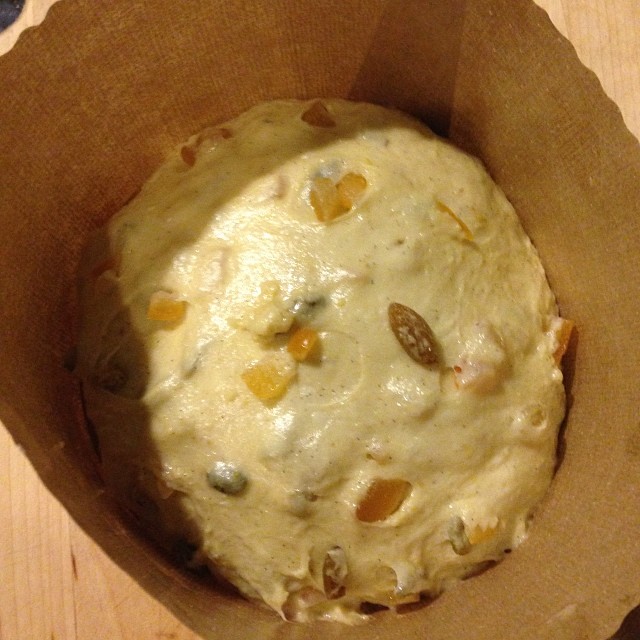 Panettone4