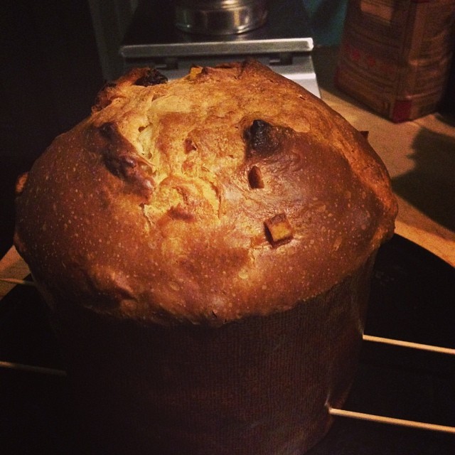 Panettone 2
