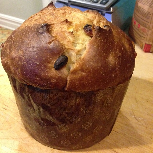 Panettone
