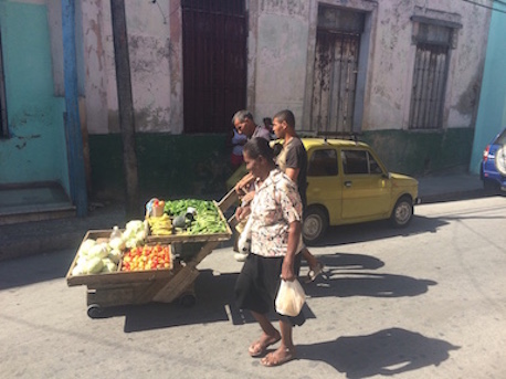 Fruit Peddler Santiago