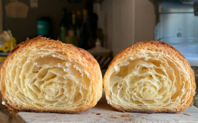 Sourdough Croissants