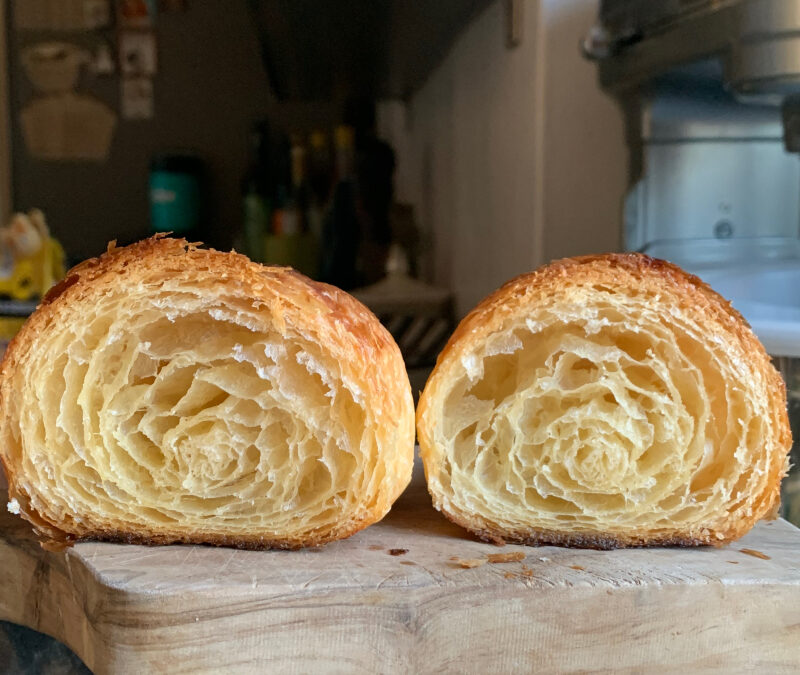 Sourdough Croissants